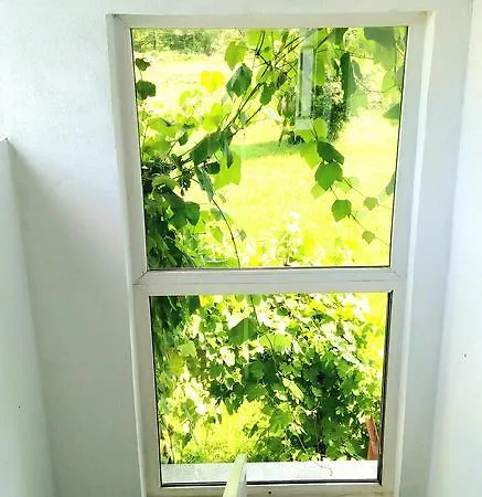 Apartamento Mehi Pazaric
